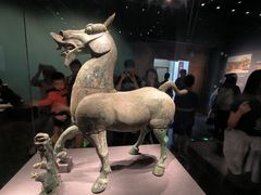 -广西壮族自治区博物馆