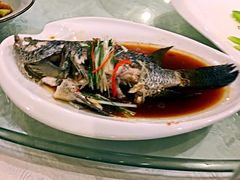 -紫阳家宴(源深店)