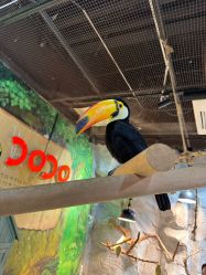 -Zoolung Zoolung动物主题公园(海信广场店)