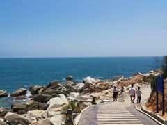 -广东惠东海龟国家级自然保护区
