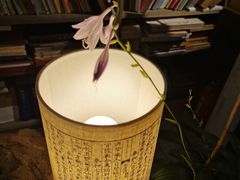 -邊城書店