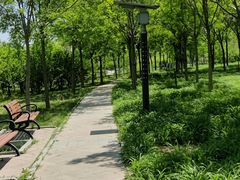 -天津东丽湖风景区