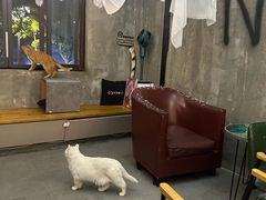 -作咖啡(养育巷店)