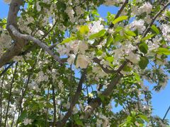 -元大都城垣遗址公园