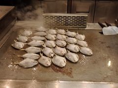 -常州富力喜来登酒店 Feast盛宴标帜西餐厅(新北万达广场店)