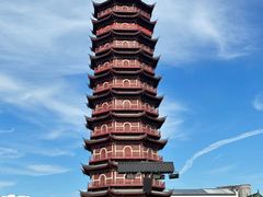 -太湖龙之梦