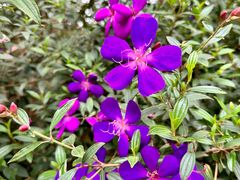 -白云山风景名胜区