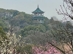 -无锡梅园公园