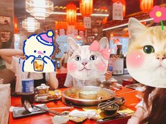 -谭鸭血老火锅(正佳广场店)