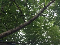 -白鹭湾湿地公园