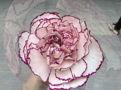-红辣椒·川菜·火锅(大洋中心店)