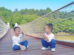 -铁山坪森林公园