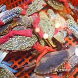 汪涵、柳岩打call的美味海胆炒饭，不能错过
