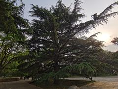 -国家植物园南园