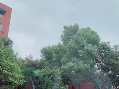 -上海市眼病防治中心(康定路院区)