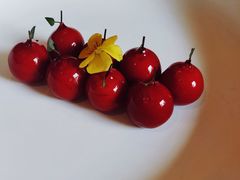 樱桃鹅肝-玫瑰厅上海菜(兴国路店)