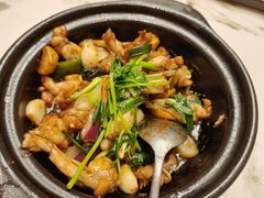 -朱记乳鸽王·非遗石岐乳鸽·全鸽宴(大兴旗舰店)