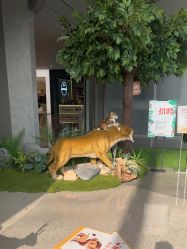 -IMON·HANSA潮玩玩偶毛绒玩具(通州万象汇店)