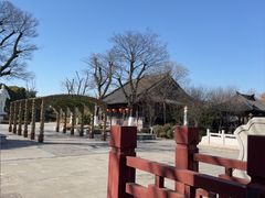-东台西溪天仙缘景区