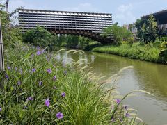 -江门古劳水乡旅游区