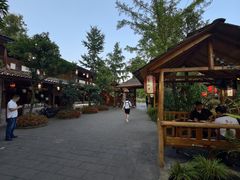 -青城甲(青城山店)