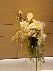 -恒美雅轩·品牌直营连锁