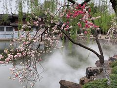 -水绘园