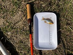 -蓝天路(地铁站)