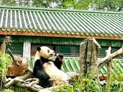 -广州动物园