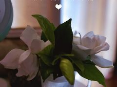 -碧云国际社区·晓园