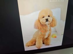 -柒薇映画7v Fix·孕照馆