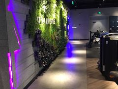 -威尔仕健身·游泳(KING88店)