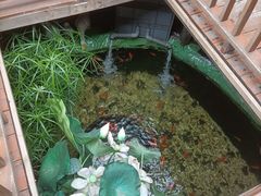 -锦上中式酒馆(南内环店)