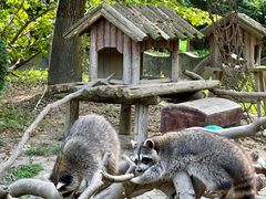 -宁波野生动物园