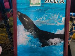 -太平洋海底世界