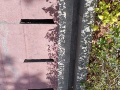 -仙岳公园