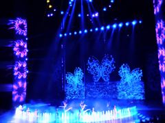 -水秀国际大剧院