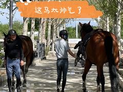 -北京群众马术培训基地