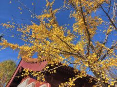 -元大都城垣遗址公园