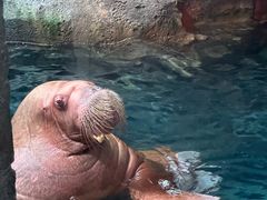 -波塞冬旅游度假区