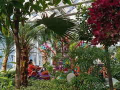 -南宫五洲植物乐园