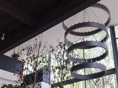-桉树林A coffee 森林餐厅(三圣乡店)
