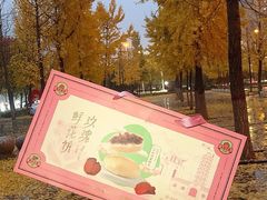 -宏发园动物奶油生日蛋糕(先锋路店)