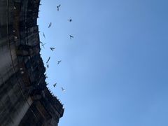 -音乐台