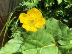 -白草畔自然风景区