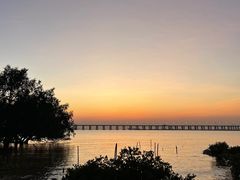 -宝安西湾红树林湿地公园