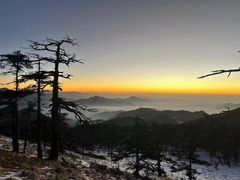 -秦岭风景区