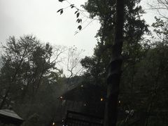 -宁海森林温泉