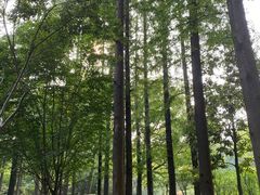 -徐家汇源景区-衡山公园