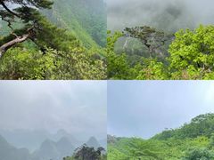 -大连天门山国家森林公园